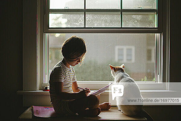 Ein kleines Mädchen und ihre Katze sitzen friedlich zusammen auf einer Fensterbank