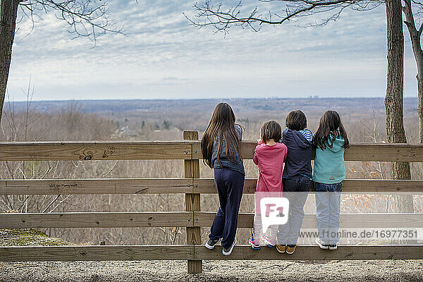 Four children stand together on a fence looking out over wooded valley