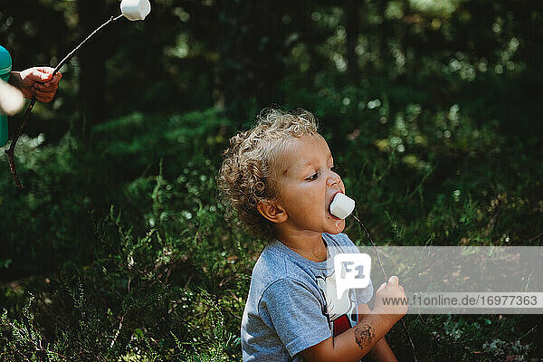 Süßer kleiner Junge isst Marshmallows in Stock immer unordentlich im Wald