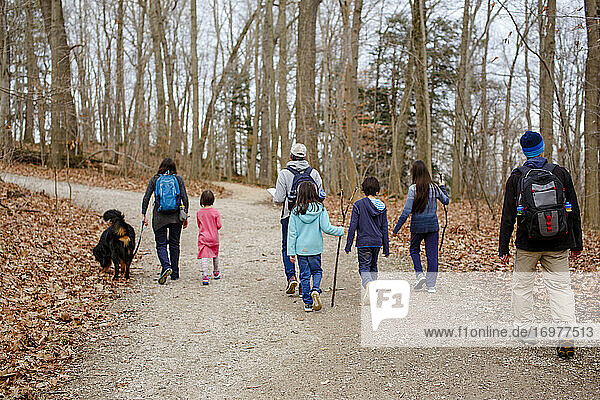 An extended family hike with a dog on a gravel path through the woods