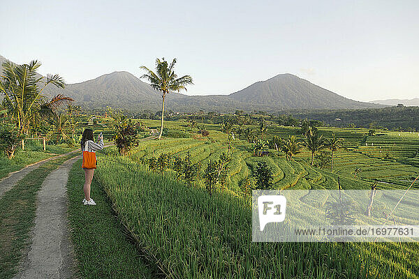 Junge Frau geht in einem Reisfeld spazieren