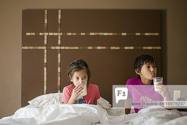 Zwei kleine Kinder liegen zusammen in einem großen Bett und trinken eine Tasse Milch