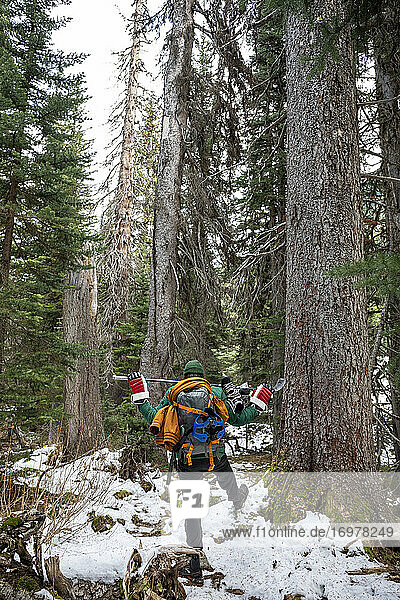 Rückenansicht eines anonymen Mannes mit Hockeyausrüstung  der im Winter in einem verschneiten Waldgebiet in British Columbia  Kanada  in der Nähe von Nadelbäumen spazieren geht
