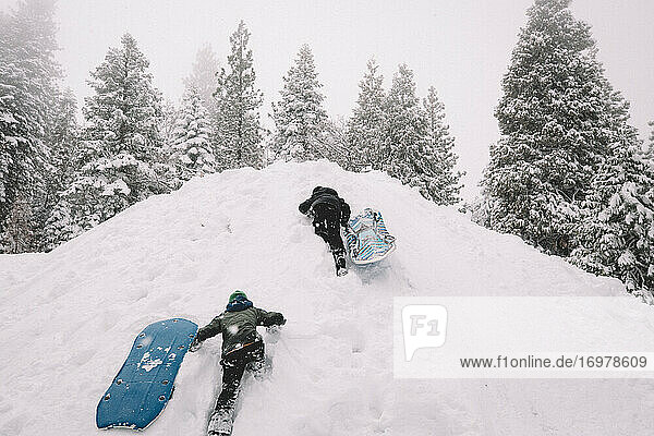 Two Boys Climb Up a Snow Covered Hill with Sleds.