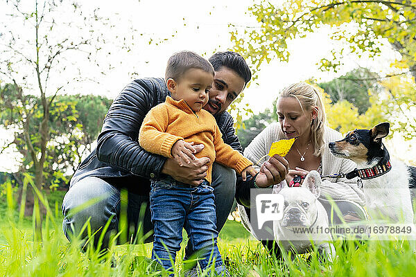 Familie genießt mit ihrem Sohn im Park