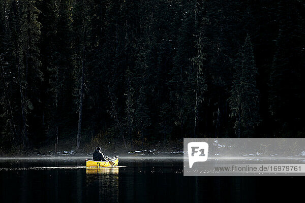 Robuster Mann paddelt alleine Kanu auf nebligem  ruhigem See durch dichten Wald