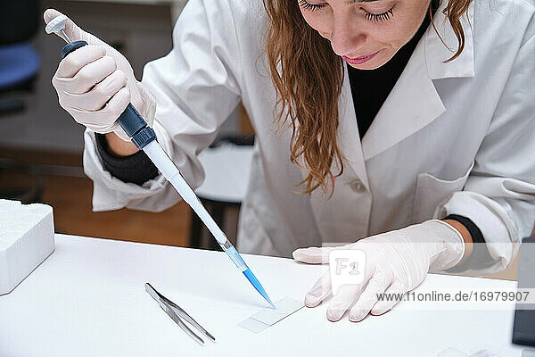Junge Wissenschaftlerin bereitet Proben vor  um sie durch ein Mikroskop in einem Labor zu betrachten. Laborforschungskonzept.