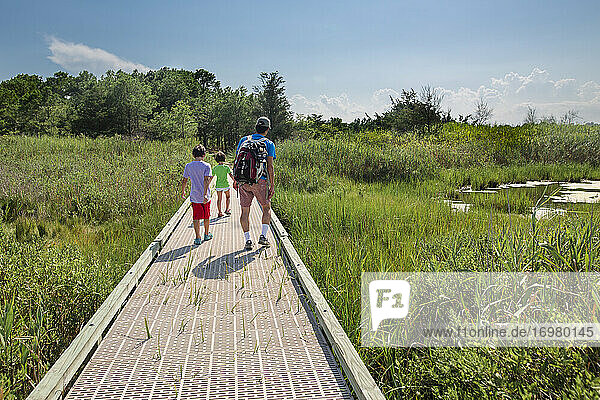 Ein Vater geht mit seinen Kindern auf der Promenade durch ein Feuchtgebiet im Sommer spazieren