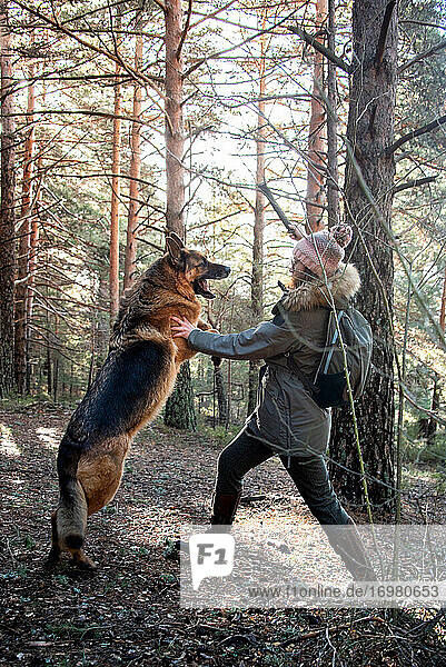 Junges Mädchen spielt und kämpft mit einem großen Hund im Wald im Winter