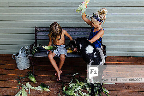 Junge Kinder beim Maisschälen mit Ziege auf der Bank
