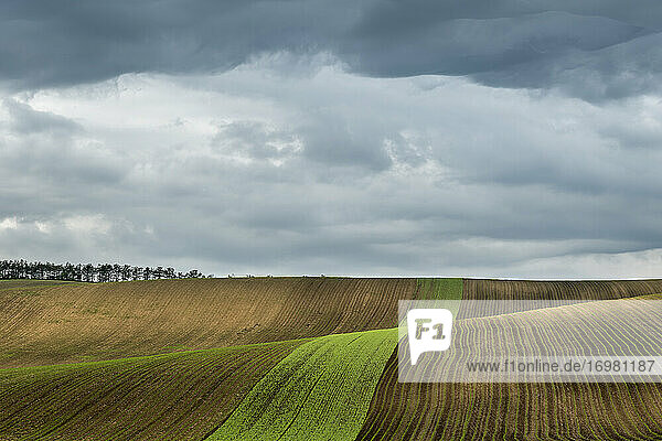 Idyllische Aussicht auf hügelige Felder in der Nähe von Kyjov mit dramatischem Wolkenhimmel  Bezirk Hodonin  Südmährische Region  Mähren  Tschechische Republik