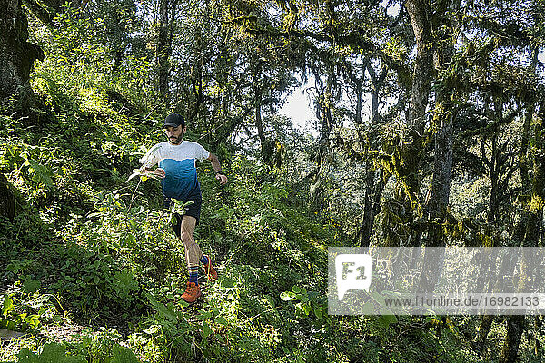 Ein Mann läuft auf einem von dichtem Wald und Vegetation umgebenen Weg