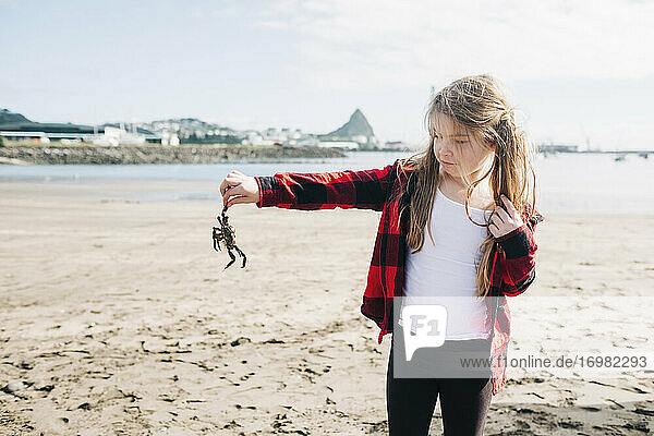 Junges Mädchen hält tote Krabbe am Strand