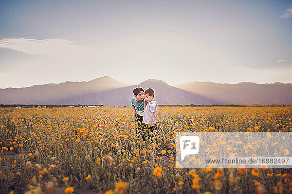One boy talking to another boy on a wildflower field in the desert
