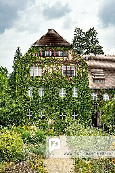 Weg zwischen Blumenbeeten mit blühenden Sommerblumen  mit Wein bewachsenes Haus Botanischer Garten  Berlin  Deutschland  Europa