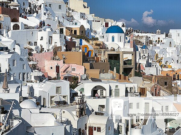 Weiß und farbig gestrichene Häuser an einem steilen Hang  Oia  Santorin  Kykladen  Griechenland  Europa