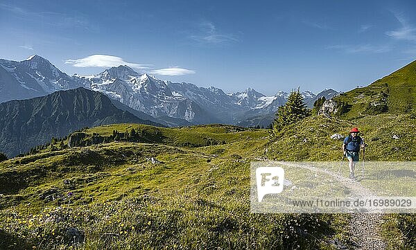 Wanderer an der Schynige Platte  Schneebedeckte Berggipfel  Eiger  Mönch  Jungfraujoch und Jungfrau  Jungfrauregion  Grindelwald  Kanton Bern  Schweiz  Europa