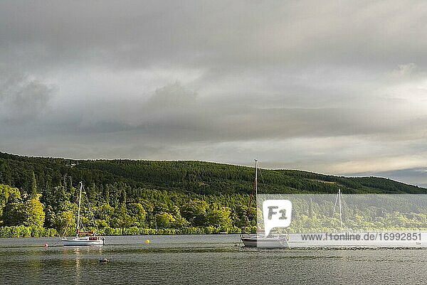 Segelboot auf dem Loch Ness  in der Nähe von Inverness  Schottische Highlands  Schottland