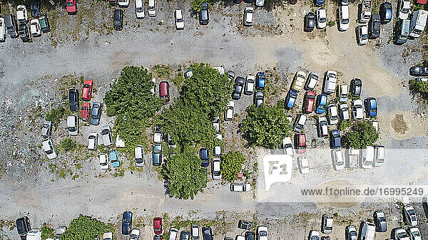 Blick von oben auf zwischen Bäumen geparkte Autos auf dem Parkplatz