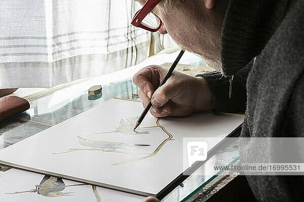 Reife Künstlerin bei der Arbeit  Zeichnung auf Papier  eine Studie über Vögel in der freien Natur.
