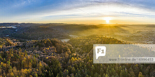 Drohnenansicht des Herbstwaldes bei nebligem Sonnenaufgang