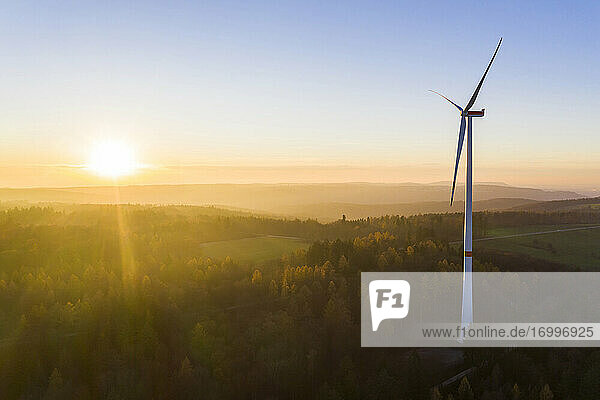 Die untergehende Sonne beleuchtet eine im Herbstwald stehende Windkraftanlage