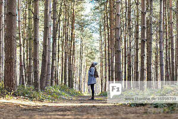 Woman exploring in Cannock Chase forest during winter season