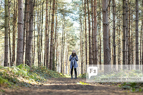 Female hiker exploring in Cannock Chase woodland during winter season
