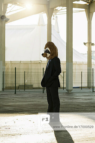 Businessman in black suit with meerkat mask standing at backlight  Barcelona  Spain