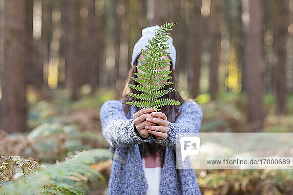 Frau bedeckt ihr Gesicht mit einem Farnblatt  während sie im Wald von Cannock Chase steht