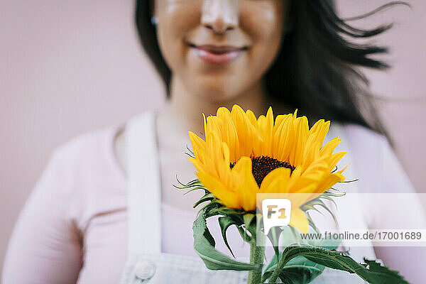 Junge Frau vor rosa Wand  hält Sonnenblume