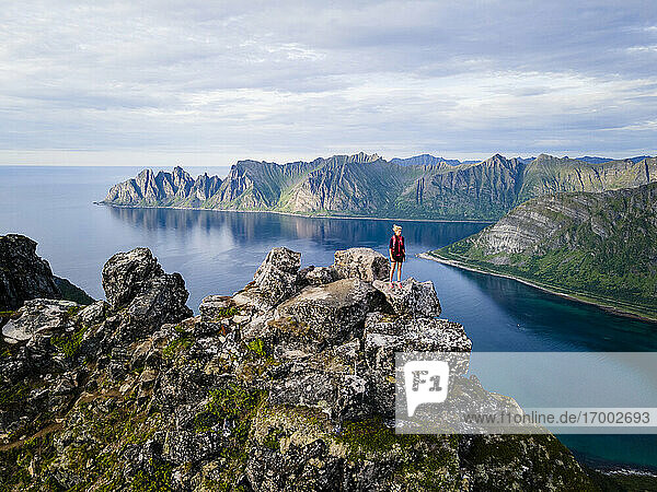 Female hiker looking at view standing on mountain at Husfjellet  Senja  Norway