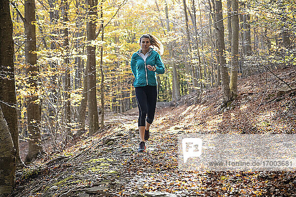 Sportler beim Laufen auf einem Wanderweg im Wald