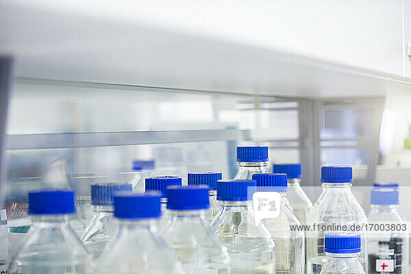 Im Labor aufbewahrte Lösungsflaschen mit blauem Deckel