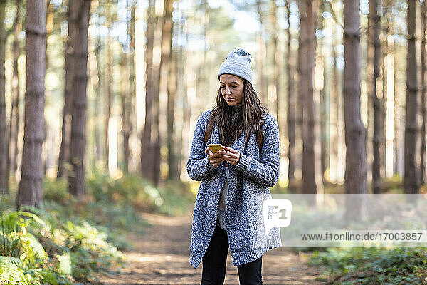 Weibliche Wanderin  die ihr Smartphone benutzt  während sie im Wald von Cannock Chase steht