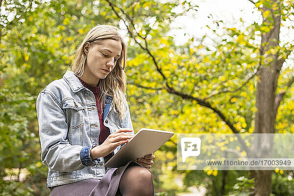 Junge Frau  die im Herbst im Park ein digitales Tablet benutzt