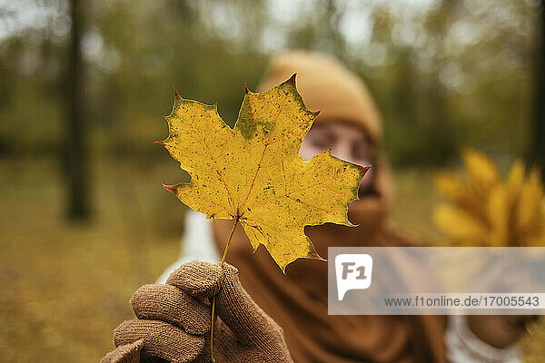 Junge Frau zeigt Herbstblatt im öffentlichen Park