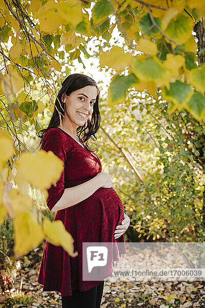 Lächelnde schwangere Frau mit Händen auf dem Bauch stehend im Park im Herbst