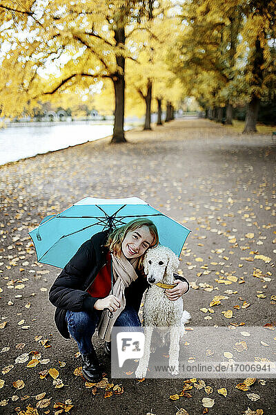 Lächelndes Teenager-Mädchen mit Regenschirm  das einen Pudel umarmt  während es auf der Straße im Park kauert