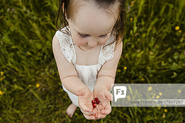 Niedliches kleines Mädchen hält einen Strauß frisch gepflückter Erdbeeren
