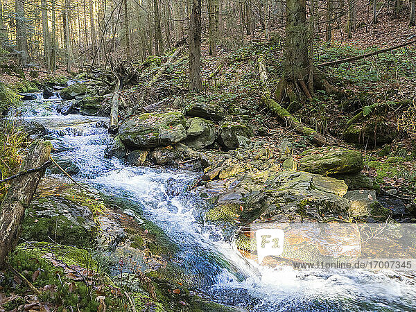 Klarer Bachlauf im Bayerischen Wald
