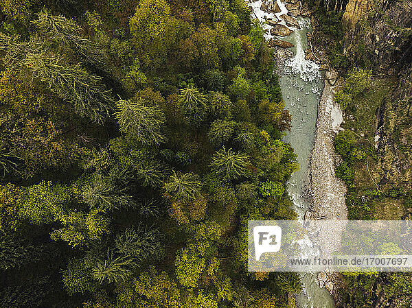 Drohnenansicht von grünen Bäumen entlang des Parvati-Flusses  Indien