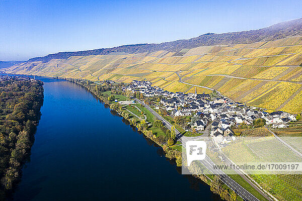 Deutschland  Rheinland-Pfalz  Bernkastel-Kues  Blick aus dem Hubschrauber auf die Weinberge am Flussufer der Stadt im Herbst
