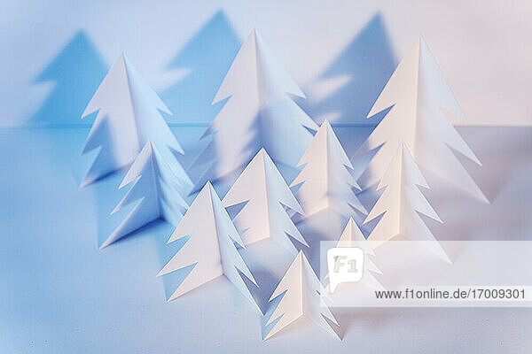 Paper forest with handmade white Christmas trees arranged on table in studio