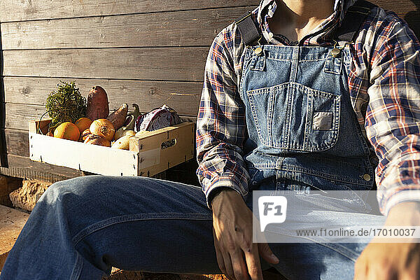 Young farmer with crate full of vegetables against wood wall on sunny day