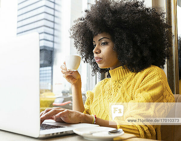 Young woman drinking coffee while working on laptop at cafe