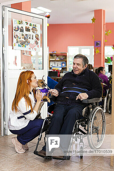 Young female nurse showing pet to disabled man in nursing home