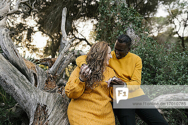 Lächelndes Paar hält sich an den Händen und sitzt auf einem umgestürzten Baum im Wald