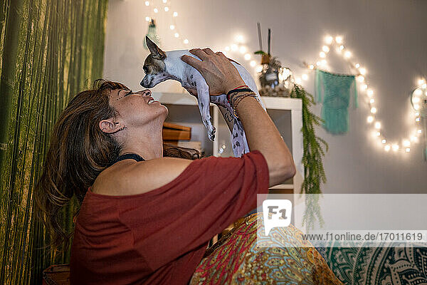 Hippie woman playing with chihuahua while sitting at home