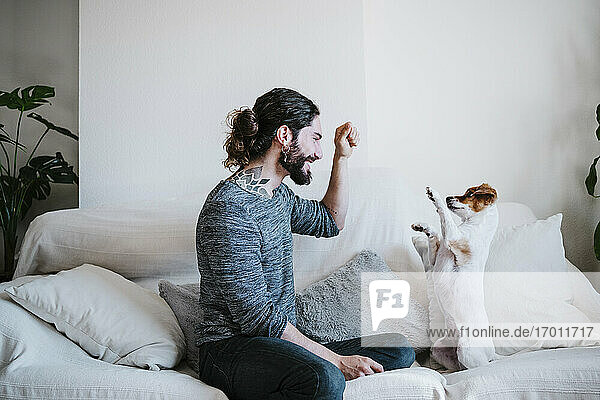 Young man playing with cute dog while sitting on sofa at home